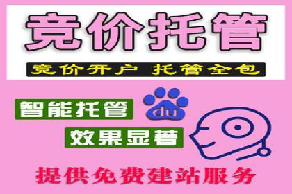 百度竞价代理实战：案例剖析与优化策略